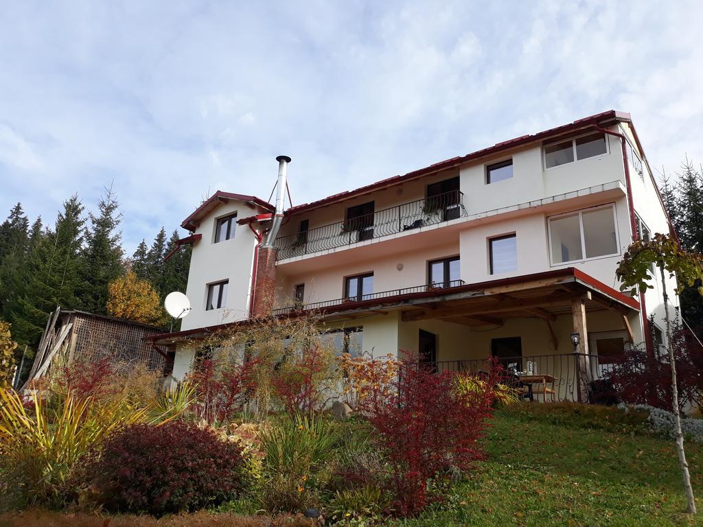 Pensiunea Lu' Movila Durau Exterior foto